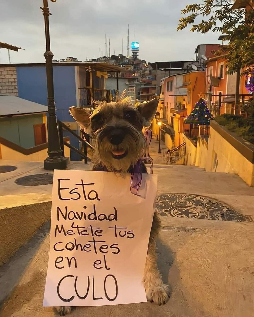 Octavio_01's tweet image. Por favor.