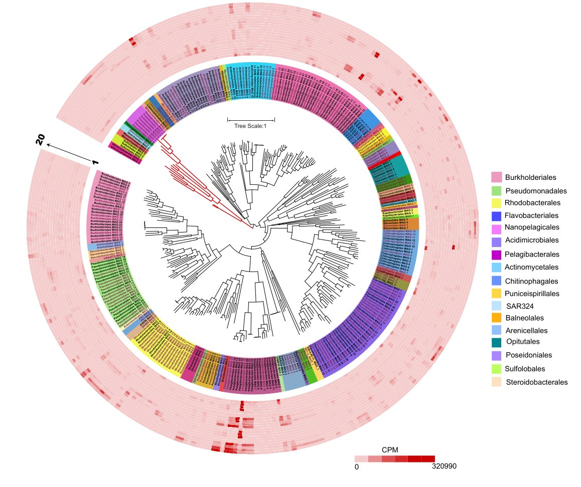 JojyJon's tweet image. Have you ever wondered how those beautifully annotated phylogenetic trees are made?
I used to think they were impossible—until I started using GTDB-Tk + iTOL 
Today’s blog covers the full workflow!
🔗 jojyjohn28.github.io/blog/gtdbtk-tr…
#Bioinformatics #GTDBTk #iTOL #Genomics #Phylogenomics