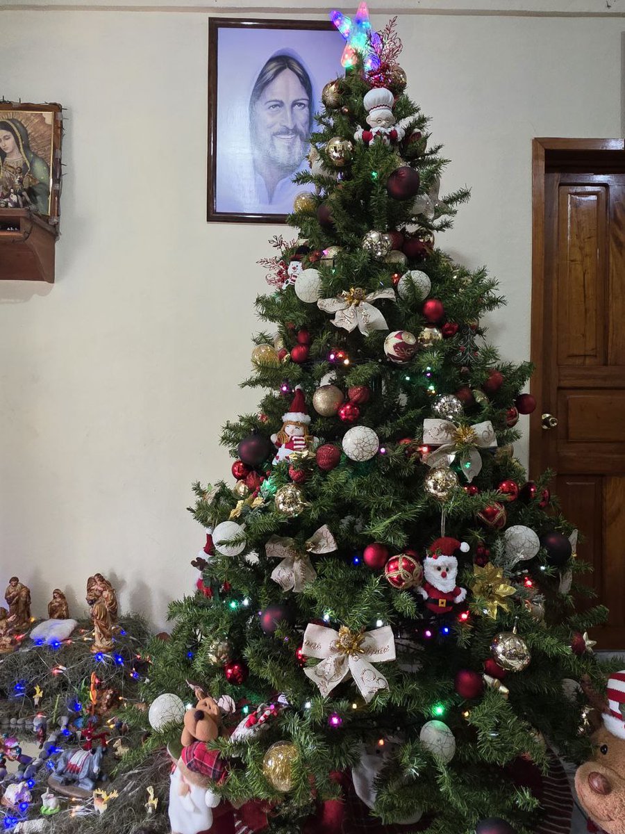 ¡Llegó la navidad a casa!

Excelente tarde, los quiero mucho 🤗.

#PatyVa💜
#OrgullosamenteSerrana