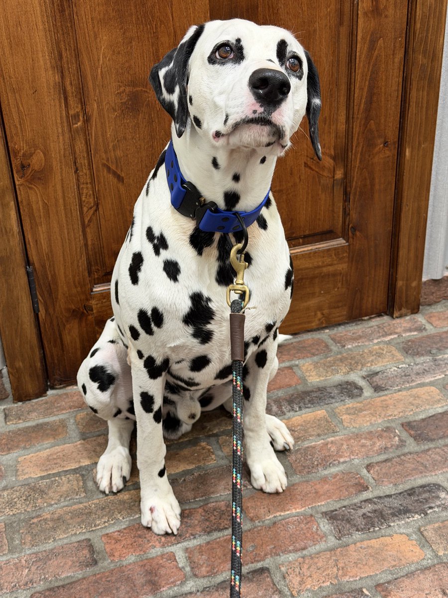 TextationAI's tweet photo. @Caleb_Farrelly @stewartbrand He approves https://t.co/MqXSoct8O5