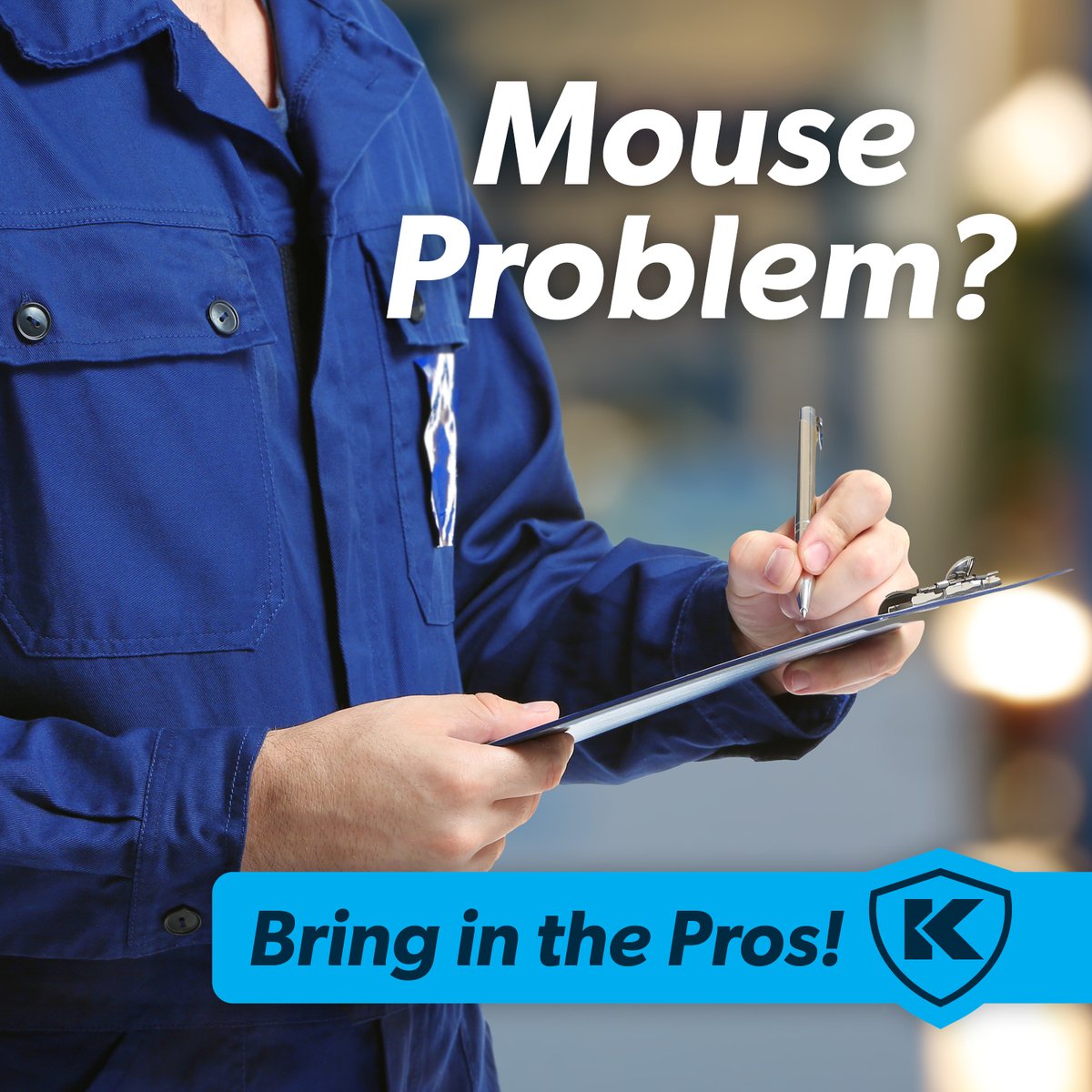 knesspestdefens's tweet image. Mice cause more than one billion dollars of damage in the U.S alone. 

Don&apos;t let your home be part of that statistic » tinyurl.com/yc76fhr6 

#KnessPestDefense 
#RodentControl 
#PestControl

Source: digitalcommons.unl.edu/gpwdcwp/184/