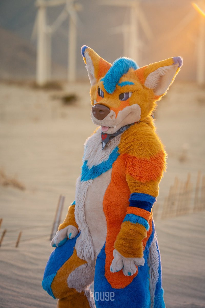 Kodey Yotey tweet media