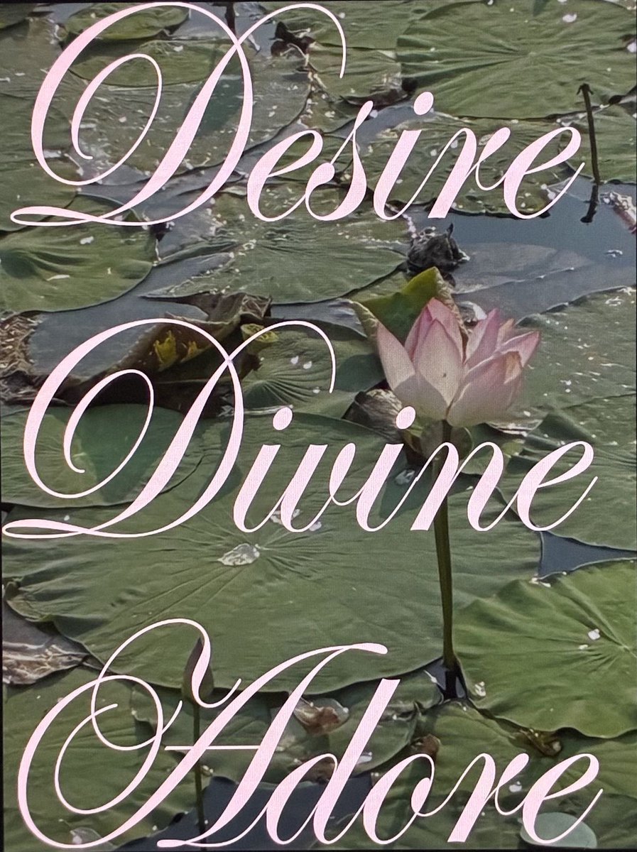 starslopped's tweet image. 