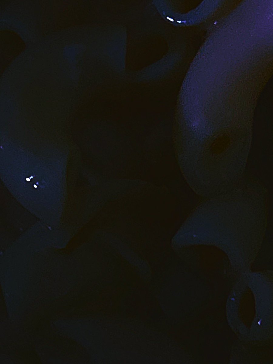 willert (@wildythomas1233) on Twitter photo 