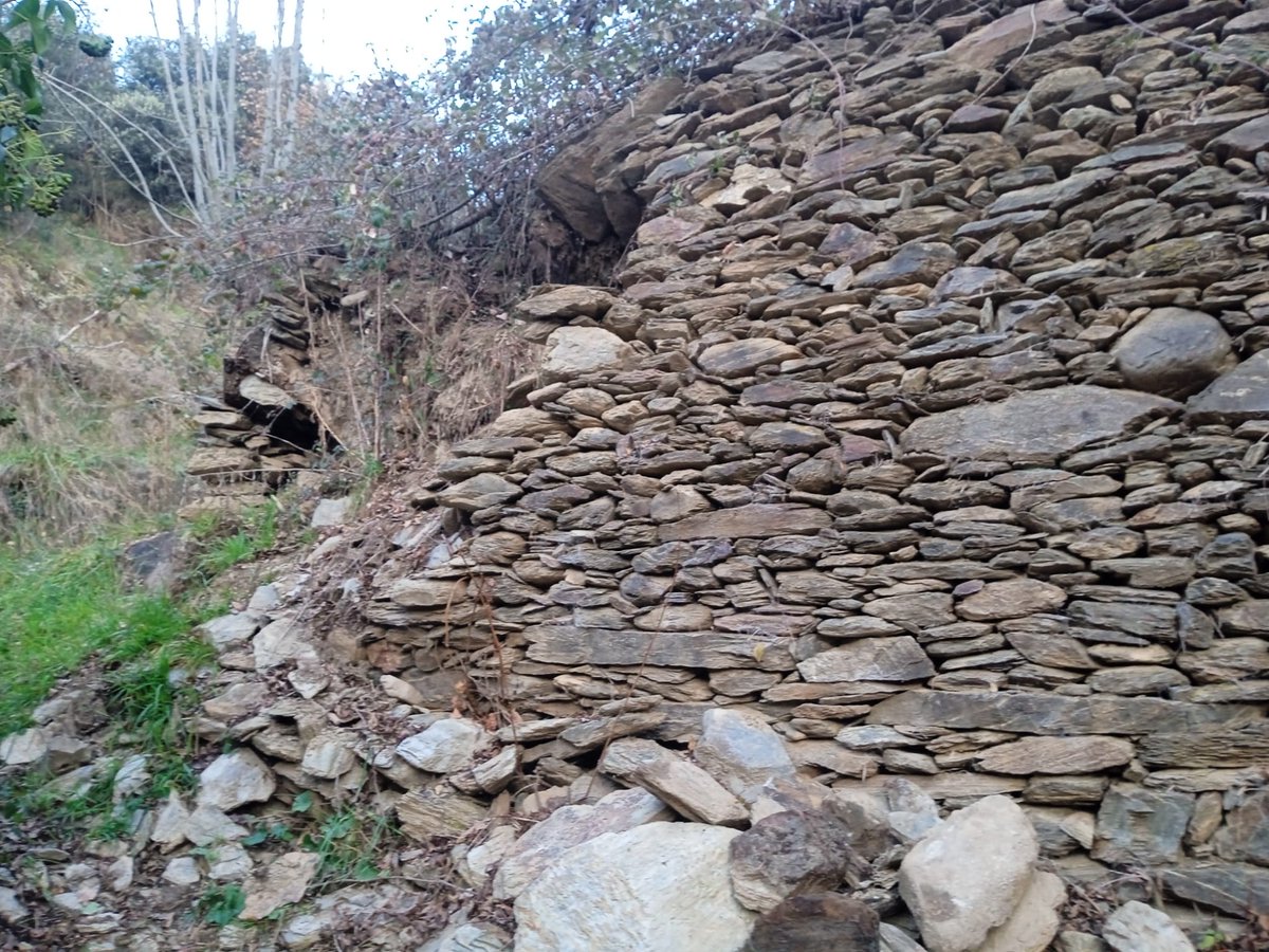 Parc Natural de l'Alt Pirineu tweet media