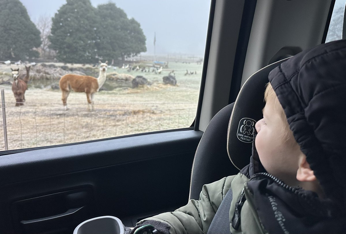 Eric Patrick tweet media