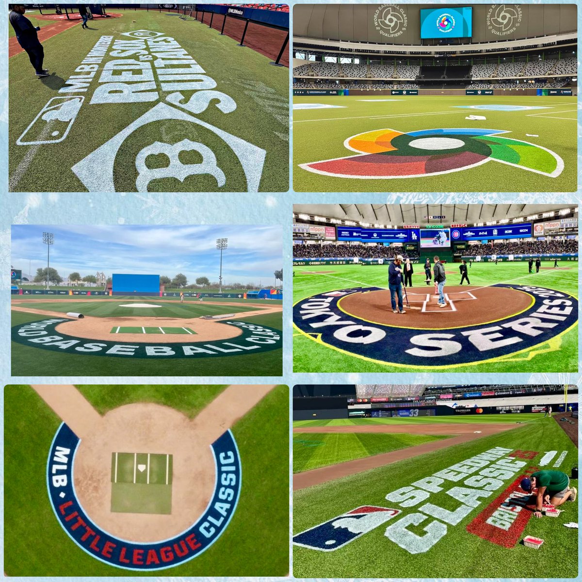 Murray Cook tweet media