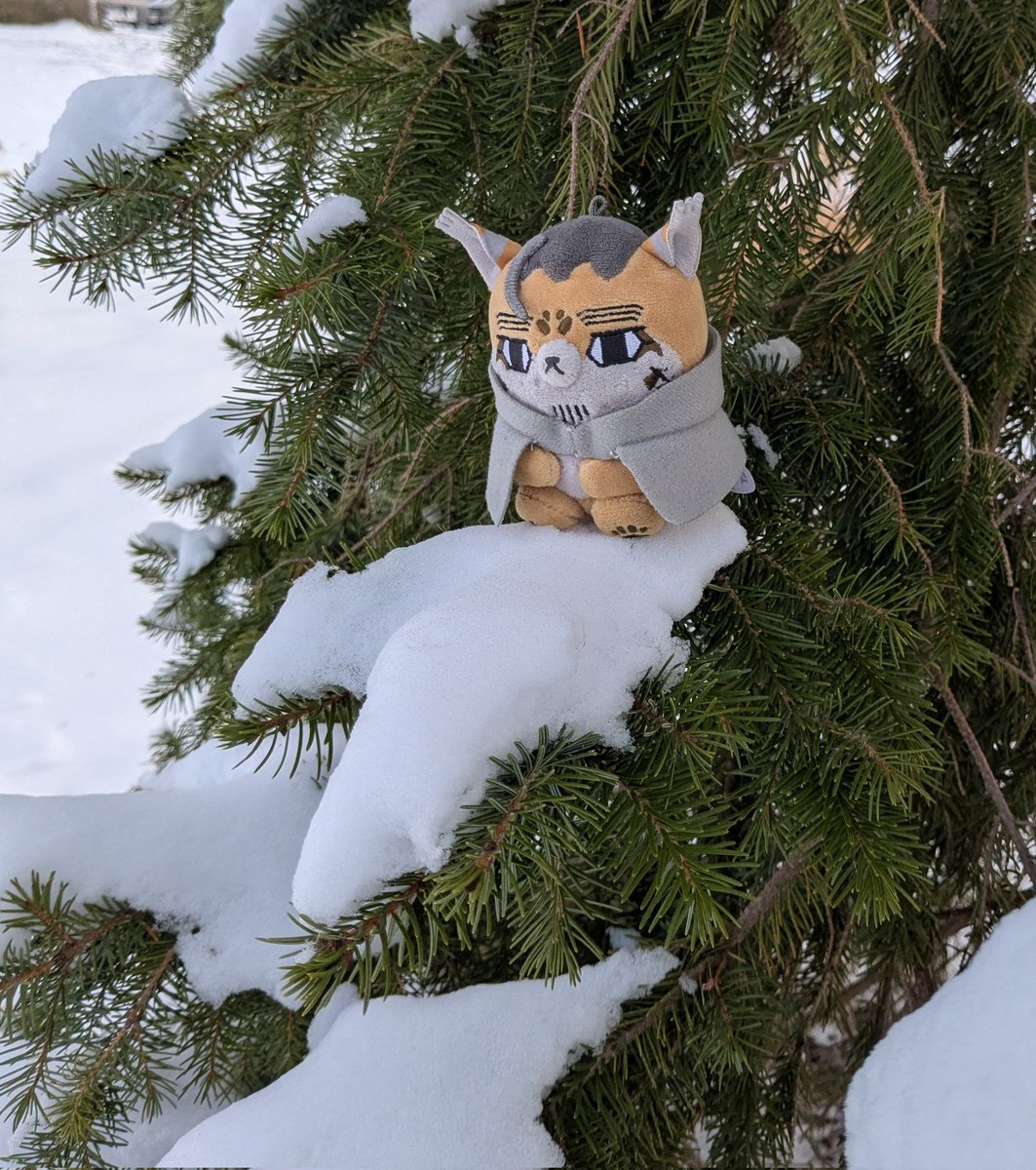 memorialAfterFall (@memoafterfall) on Twitter photo 