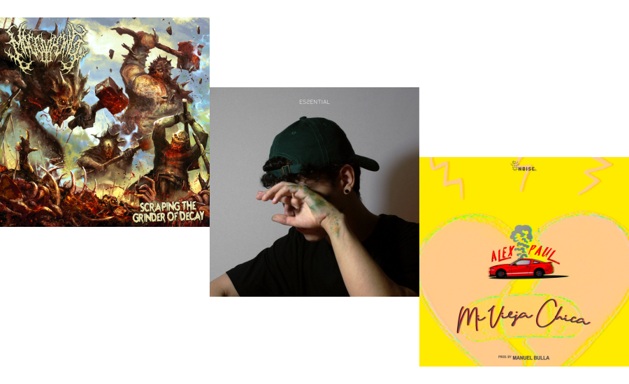 I'm <a href="/bopping_to/">Bopping</a>

Pay Ya Tick by Maggot King

Mi Azul by Strok

Mi vieja chica by @alexpaulmx

▶ bopping.to/<a href="/AlexPaulMx/">ALEX PAUL</a>