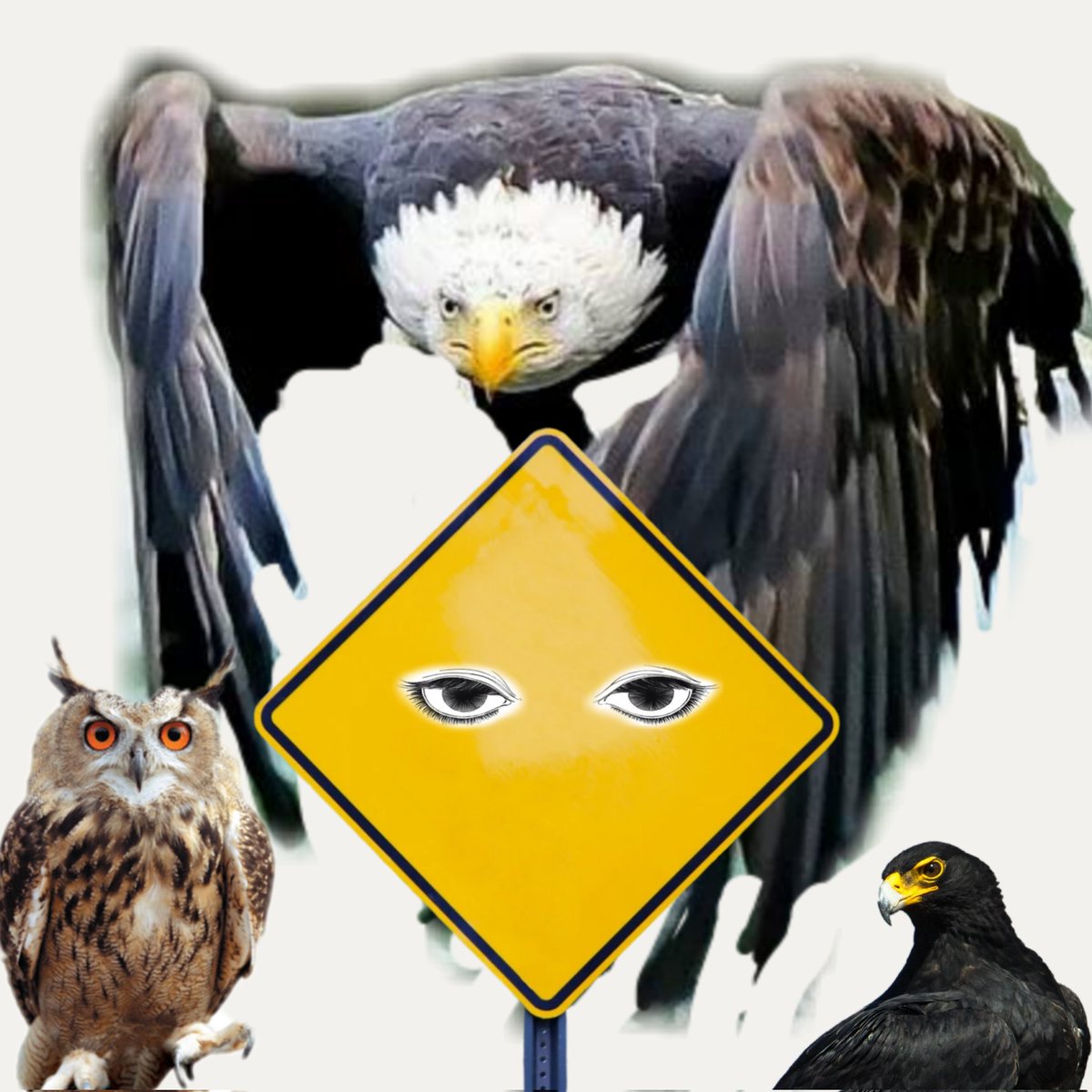 Mr Sukjit Singh Sarai tweet media