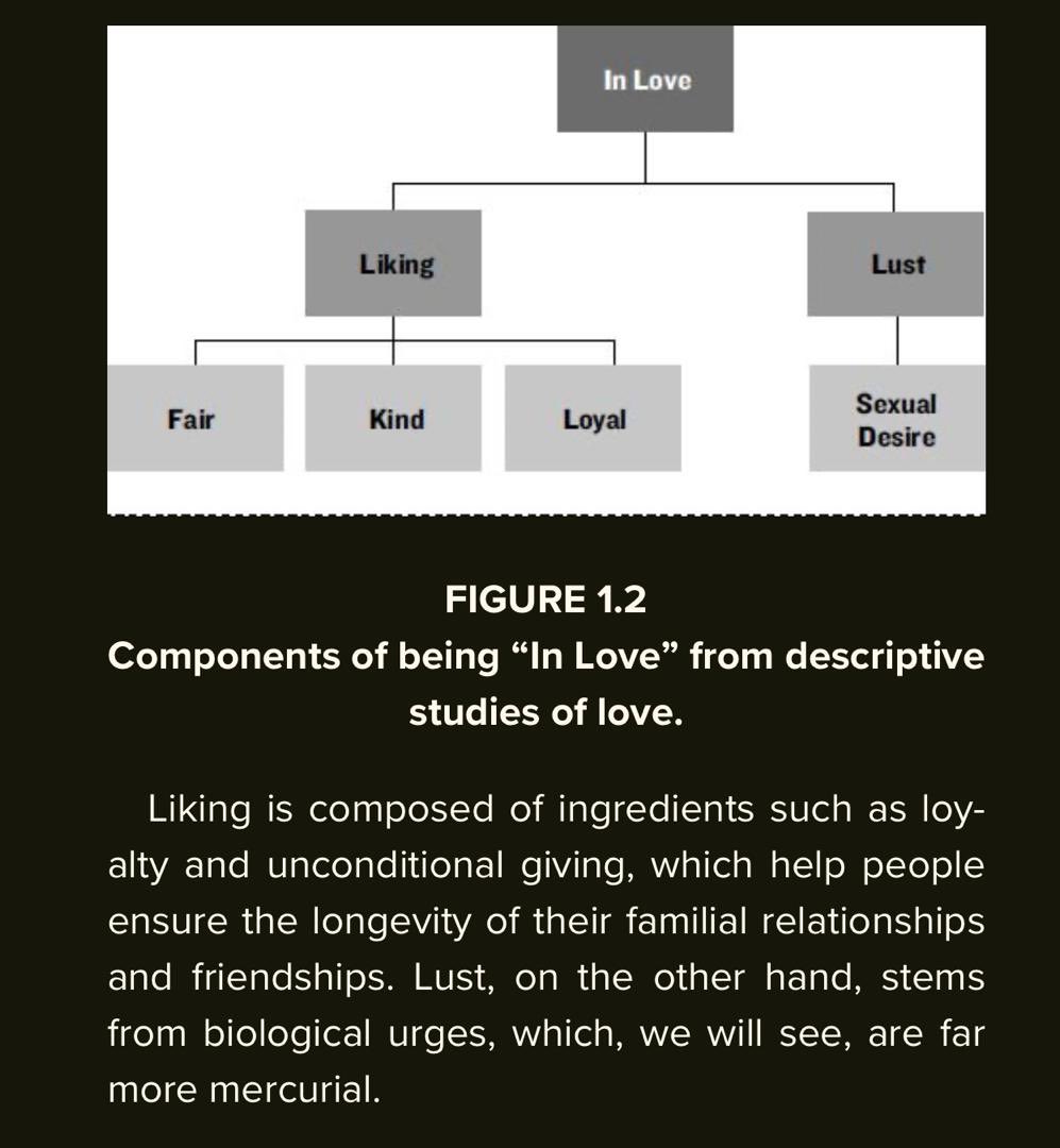 excerpt from my new read.