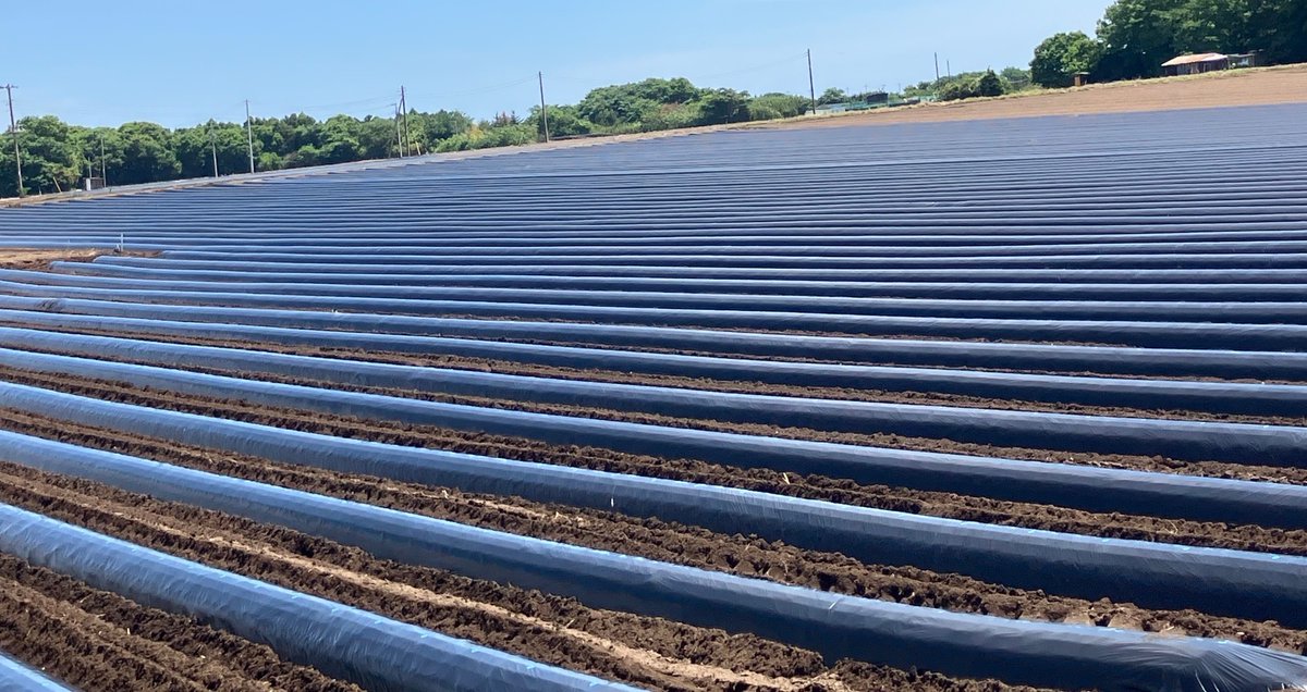 ＼ニュース掲載のお知らせ📢／
2025/12/10(水)～12(金)の期間、東京ビッグサイトで開催されるエコプロ2025に関するニュースを掲載しました

「エコプロ 2025 日本バイオプラスチック協会ブースにて生分解性マルチフィルムを展示」

ぜひご覧ください👇
shoko.co.jp/img/pdf/059_20…

#昭光通商 #素材商社