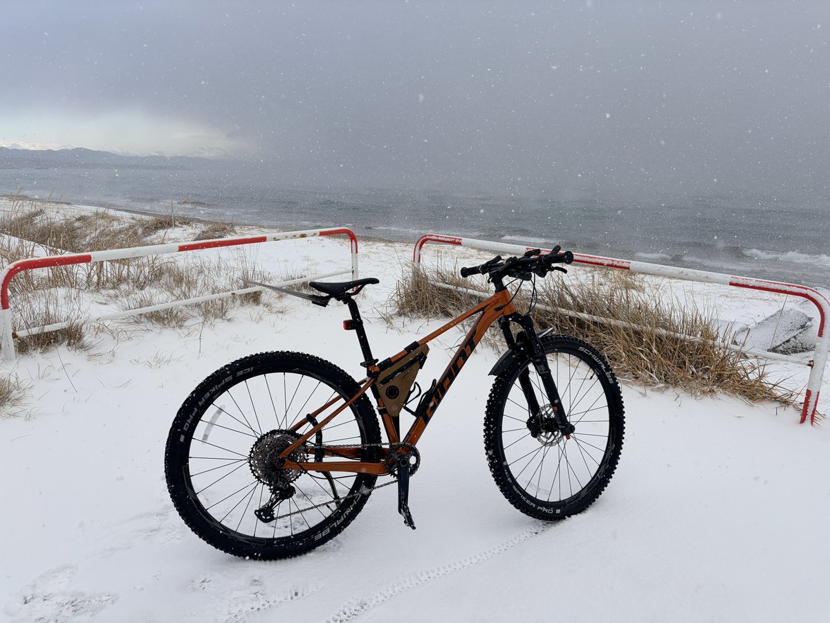 pikacycling@タイガーエア (@PikaCycling) / Posts / X