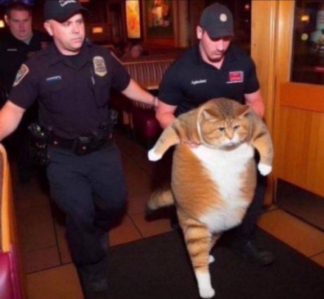 قاعده ادور الي يقولون الاولى واحط لهم لايك لاسباب خاصة جدًا