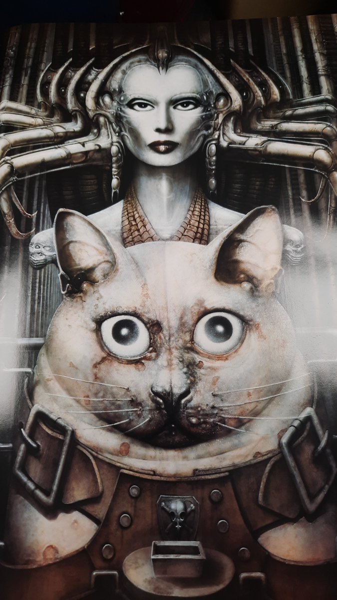 owen ❯❯❯❯ ~ is broken /pos tweet media