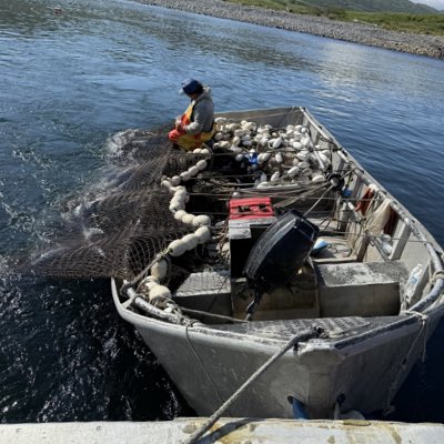 Willy Nick tweet media