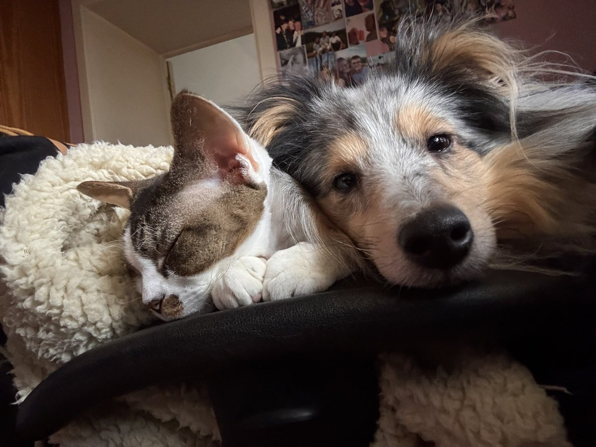 Je fais jamais mes notes seule.