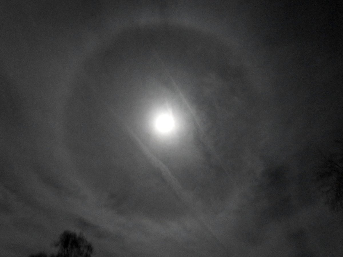 mildthing99's tweet image. 22° halo in #cirrostratus and #contrails caused by the almost full #ColdMoon #Supermoon #WaxingGibbous 🌕 97.4%
@DavidBflower @CloudAppSoc @StormHour @ThePhotoHour #StormHour #getoutside #loveukweather