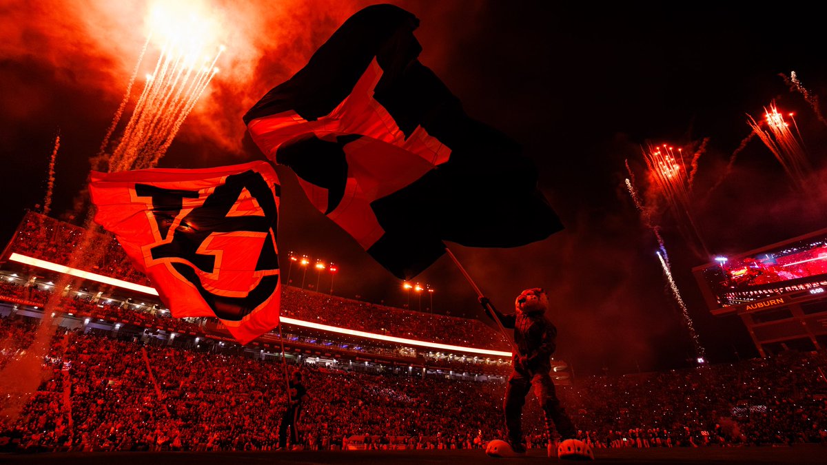 David Gray tweet media