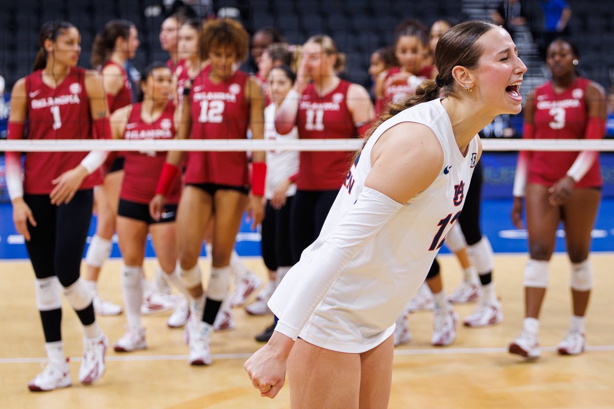 David Gray tweet media