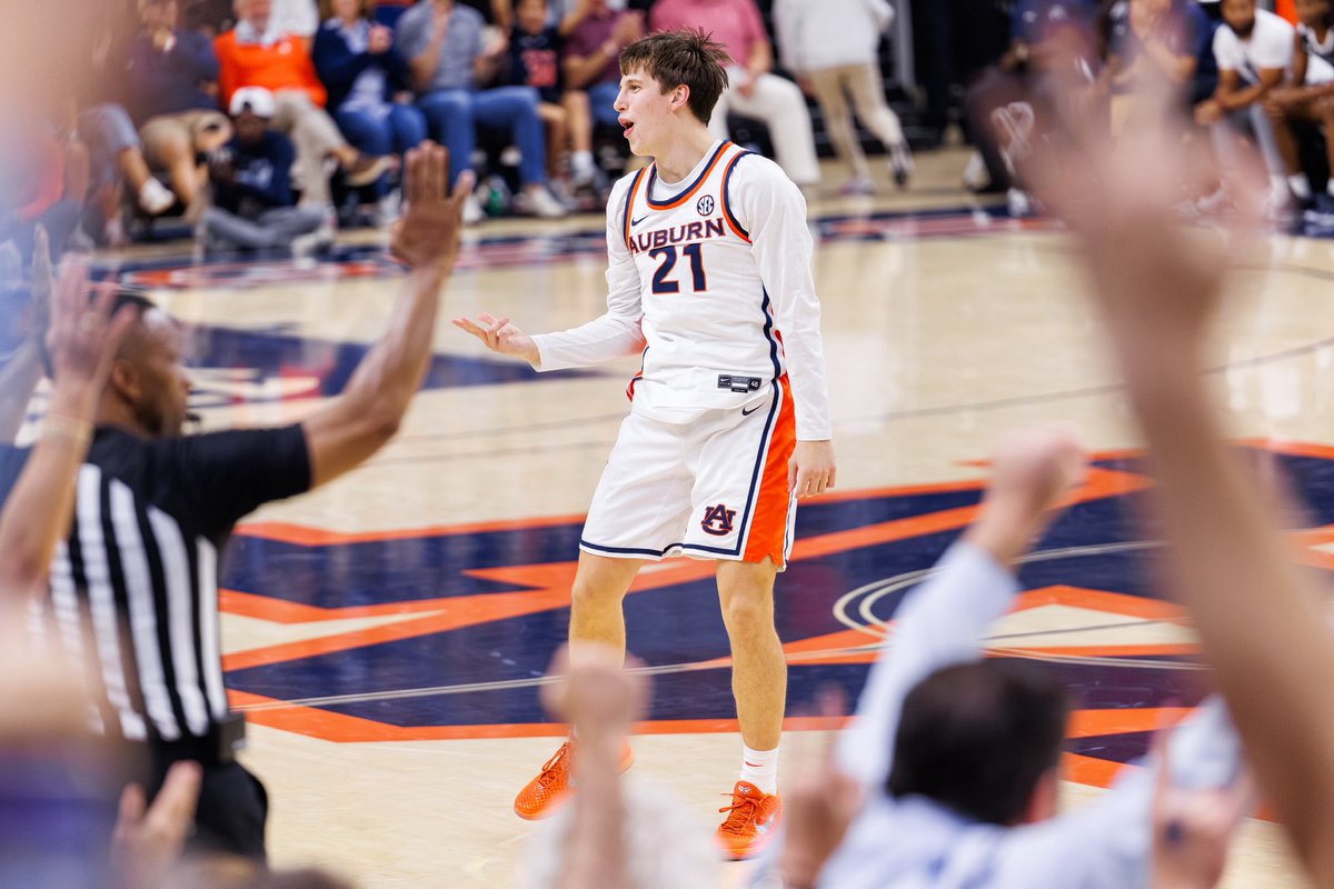 David Gray tweet media