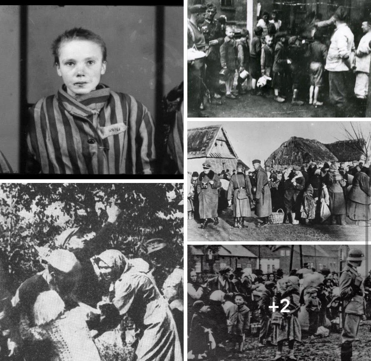 ReidEdwardII's tweet image. Operation Zamość was one of the most brutal and least known German actions of the war, a deliberate campaign of ethnic cleansing designed to erase an entire Polish region and replace its people with German settlers. It began quietly, without fanfare, in the freezing darkness of…