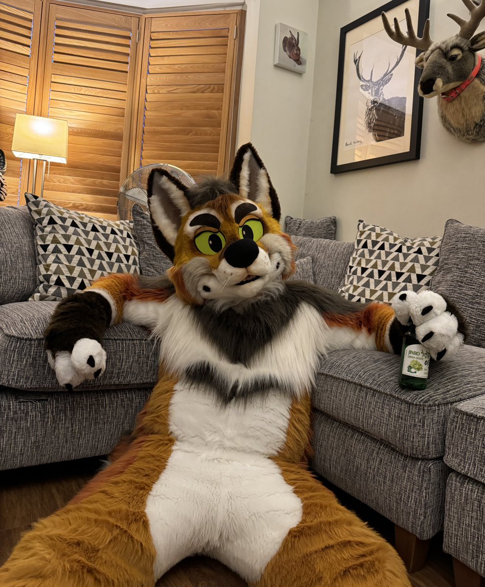 Why yes. This is how I normally spend my evenings… 😼

Care to join? 👀