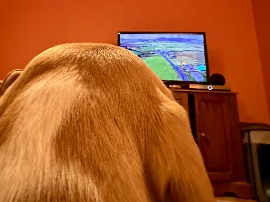 technofreakuk's tweet photo. Boss and Jackpot enjoying some peace this morning in between trades ripping the house to bits with noisy power tools then watching This Farming Life tonight 🐾 https://t.co/S5zFULqthT