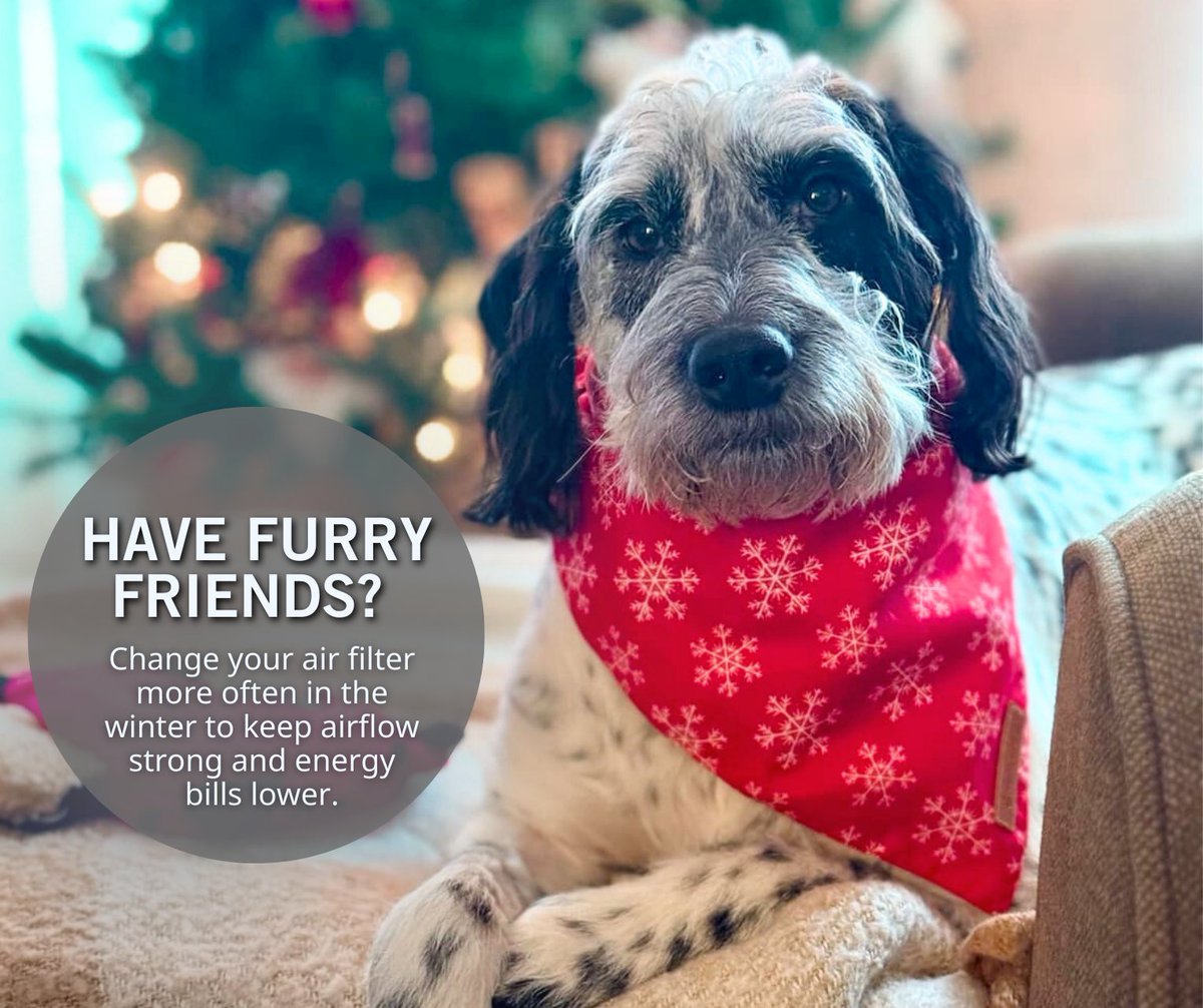 This adorable face has a reminder to share: Pets mean more hair, which clogs filters faster. Swap out your air filter often this winter to keep airflow strong and bills low!

Find more winter energy efficiency tips to share with customers at MPUA.org/PublicOutreach.