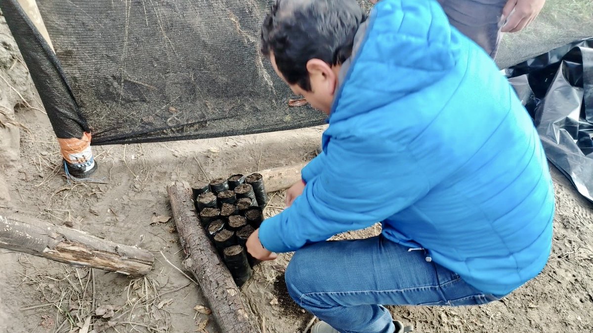 Allerena_ec's tweet photo. 📍 Chimborazo | En Guamote, desarrollamos los módulos de incendios forestales y bioles dentro de la Escuela de Campo Forestal.
También realizamos la práctica de establecimiento de un vivero y el llenado de fundas como parte del módulo de viveros.

#ElNuevoEcuadorImpulsa https://t.co/UC651fggOy