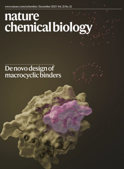 nchembio's tweet photo. Our December issue is live!

https://t.co/c5TML265lN

The cover depicts a diffusion-based generative deep learning pipeline for de novo design of a macrocyclic peptide targeting the protein, myeloid cell leukemia 1 https://t.co/HoGja4PFk6