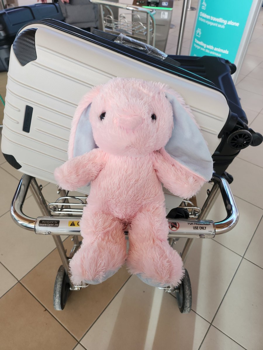 mai (unofficial hiatus) |【ⱯLive!】 🐰❄️ tweet media