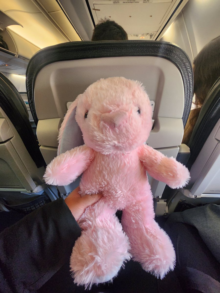 mai (unofficial hiatus) |【ⱯLive!】 🐰❄️ tweet media