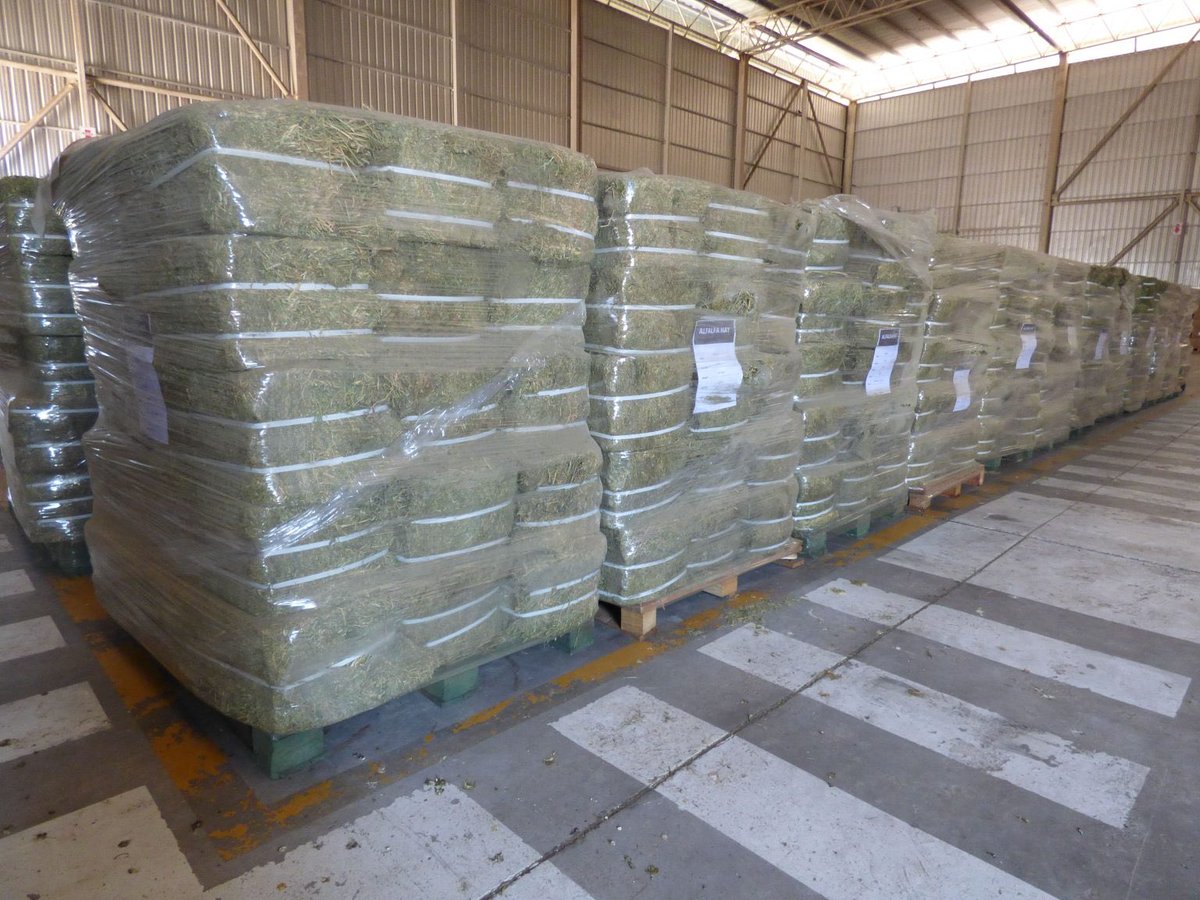 Logistica_SL's tweet photo. 🌱📦 Nueva exportación desde San Luis: 25 toneladas de alfalfa rumbo a Malasia.
Trabajo conjunto entre Grow Farms, AgroZAL y Actividades Logísticas que abre nuevos mercados y fortalece la producción local.
🌍🚚 #SanLuisExporta

Nota completa: https://t.co/axclAZMUQW https://t.co/P3fK4jr8OQ