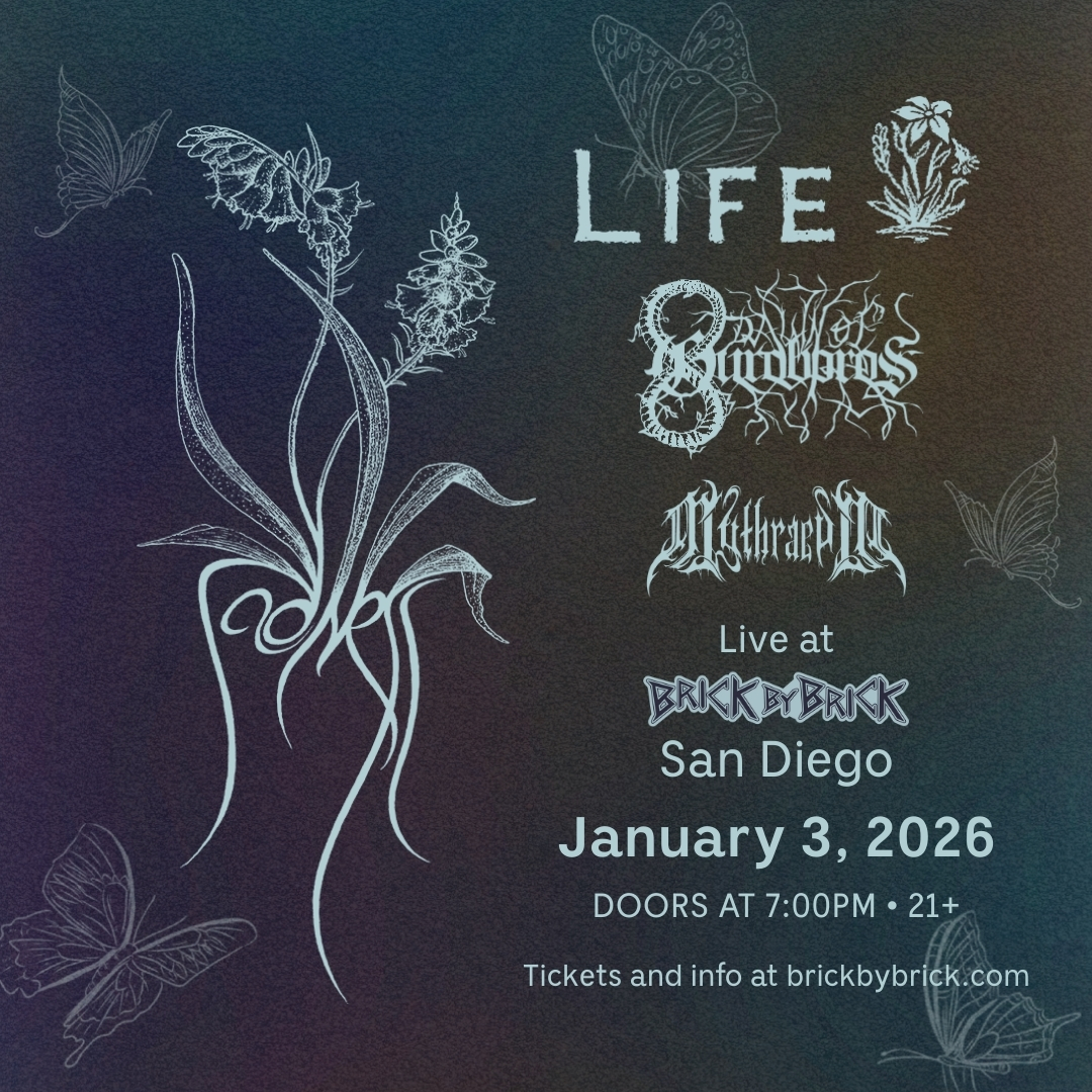 Brick by Brick tweet media