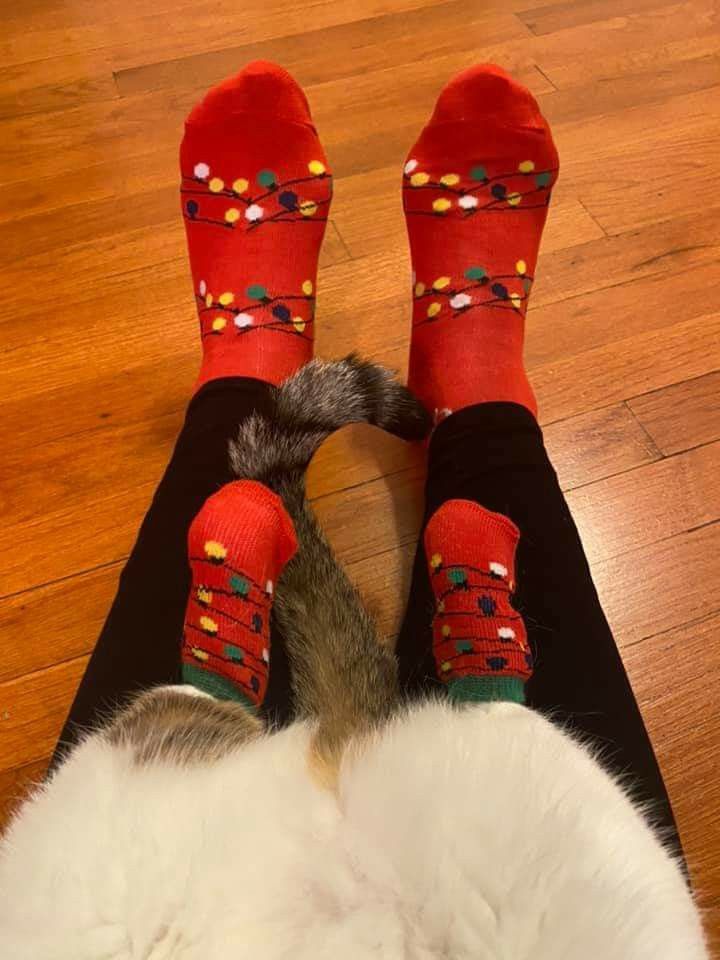 cutedreamvibes's tweet image. 