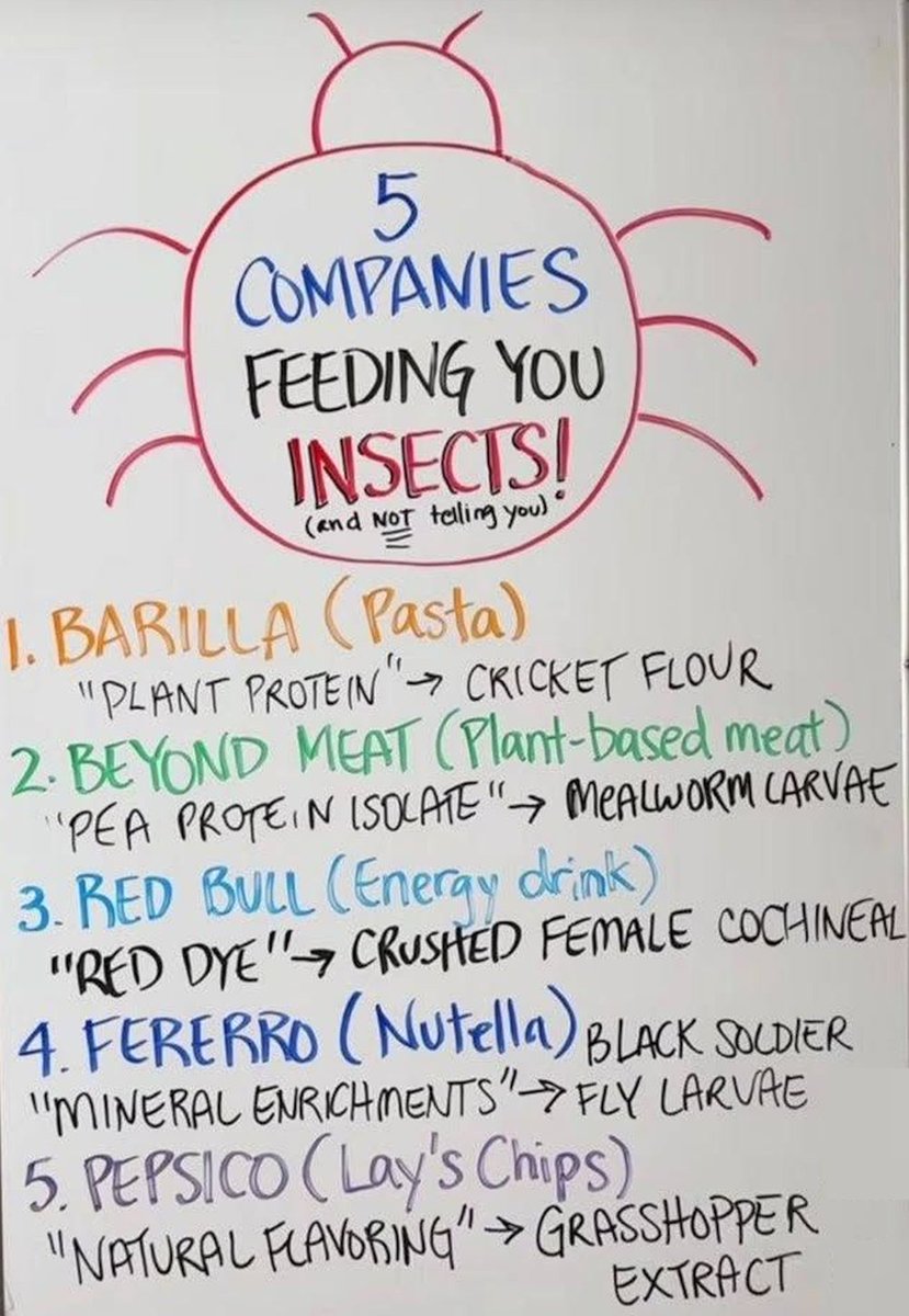 Merit Freeman ⚡⚡ (@meritfreeman) on Twitter photo 