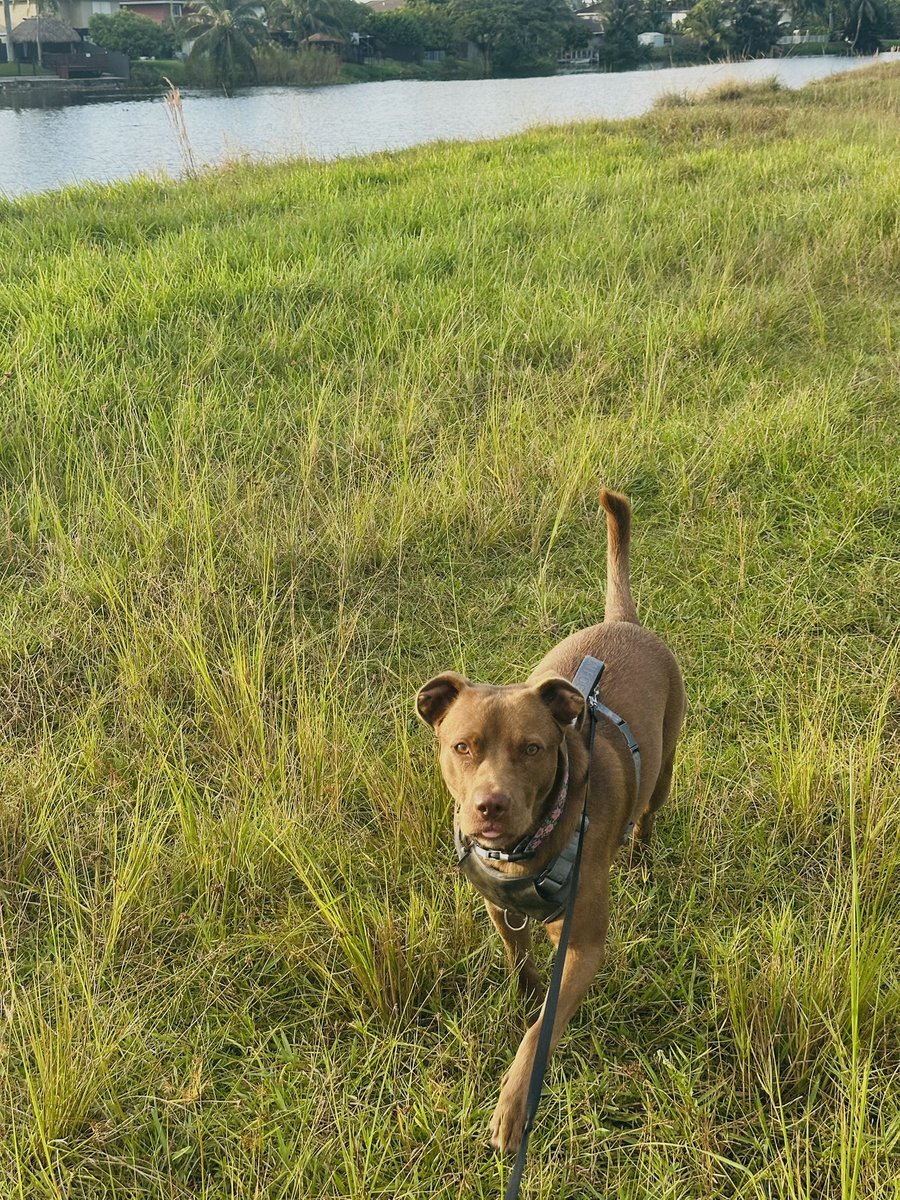 favii (@yonkodonny) on Twitter photo 