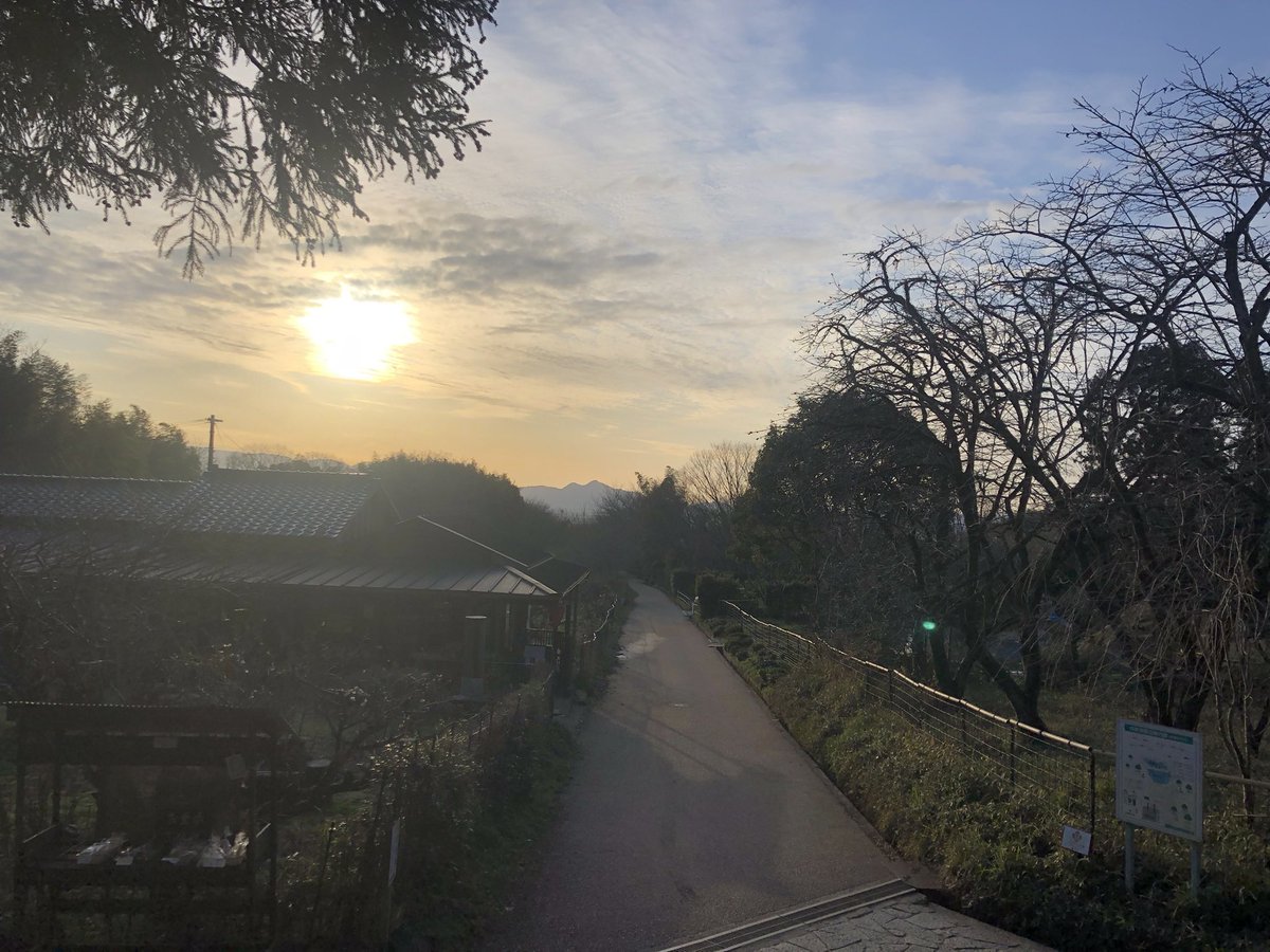 minohitotu's tweet photo. おはよう。
今日も良い一日でありますように。

冷えてるね。
温かくすることをこころがけて、ぼちぼちと。

写真は、この時期の大和桜井。
元伊勢檜原神社から里に降る道。 https://t.co/TFMqqcYCwp