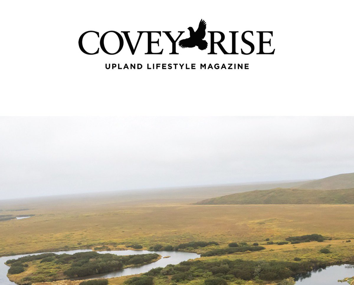 Really Wild tweet media