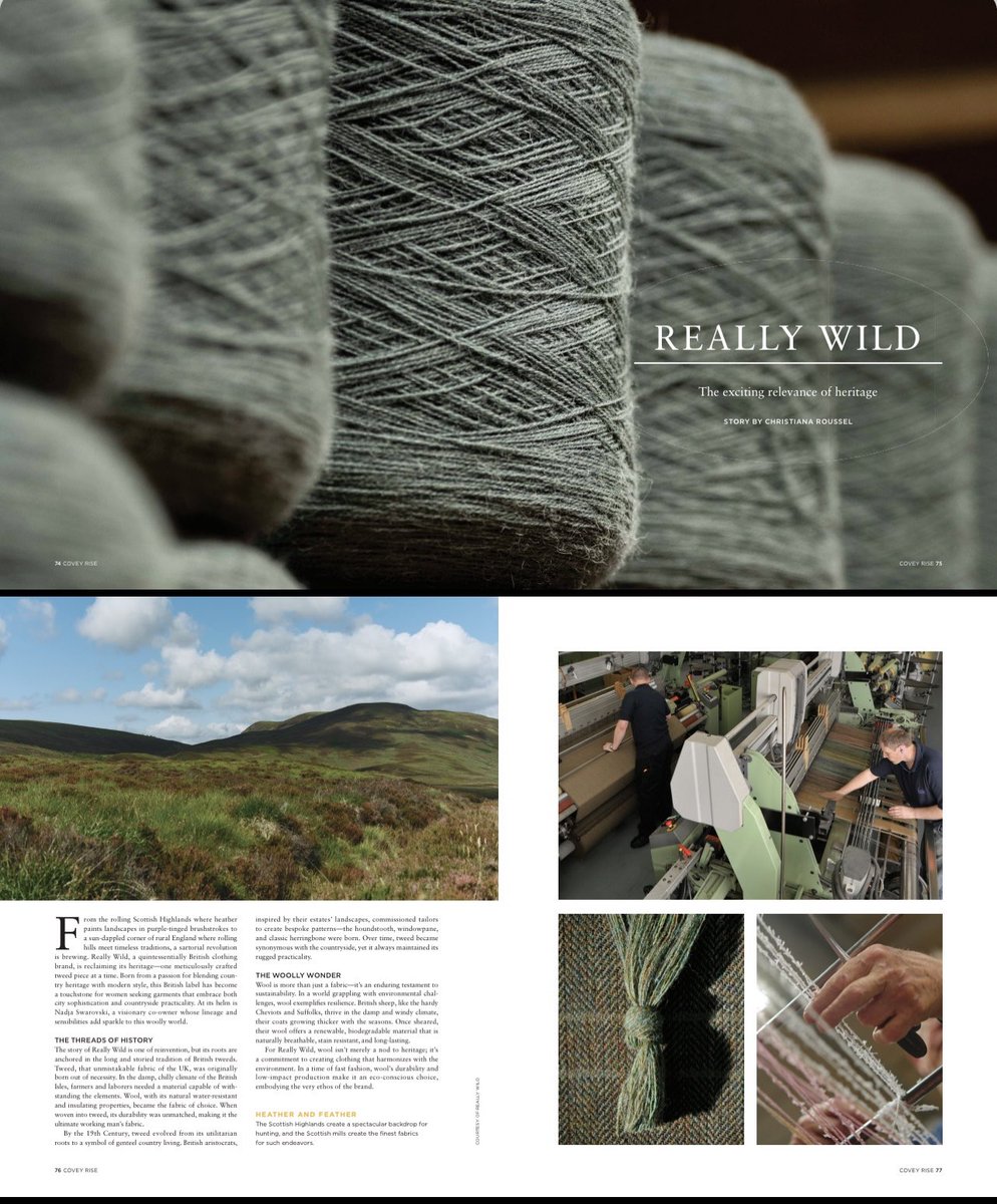 Really Wild tweet media