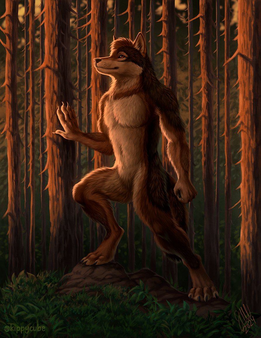 Kippy 🦊☕️ tweet media