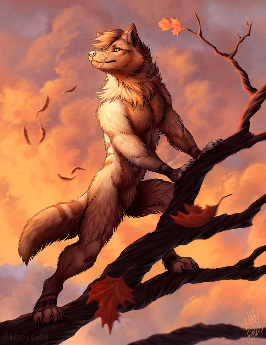 Kippy 🦊☕️ tweet media