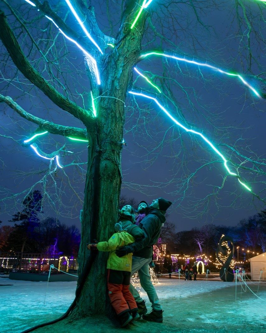 Découvrez la magie de la saison lors de l’événement Winter Wonders des Jardins botaniques royaux! Le parc Hendrie se transforme en un véritable paradis hivernal avec des lumières, des installations et des expositions enchanteresses. ✨🎄

rbg.ca/things-to-do/b… 

Photo : RBG