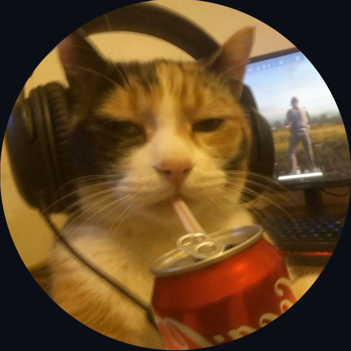 kamdev04's tweet image. Hi,  I’m Kamdev

New to 𝕏    

Currently in 1st day!!  

I am a beginner   

Let's connect and grow together