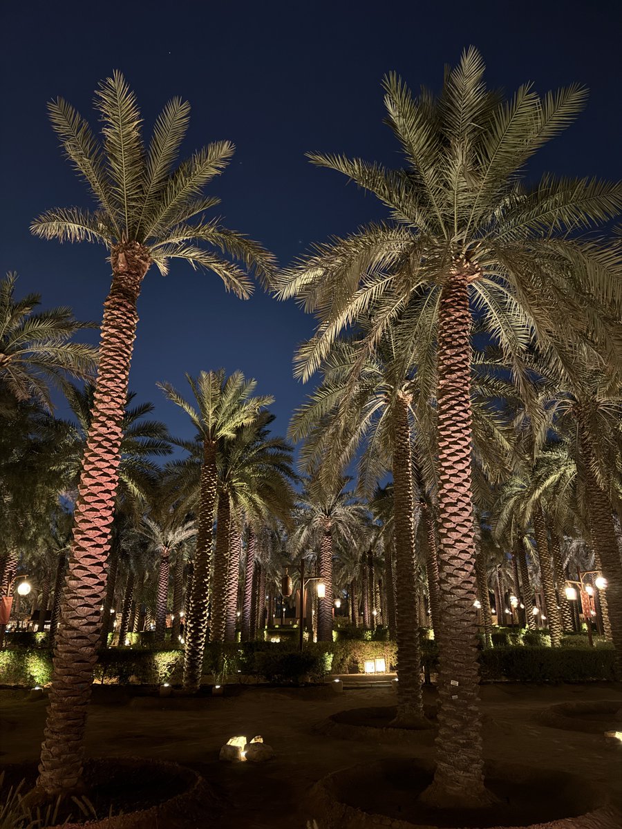 عشوائيات ٣ ديسمبر