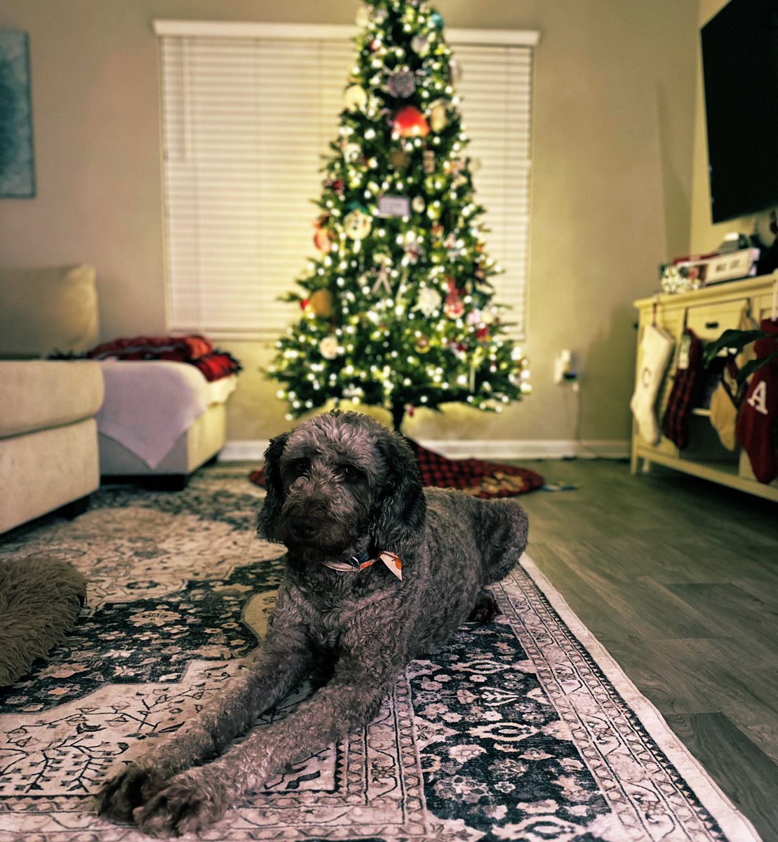 Courtney McKinney tweet media