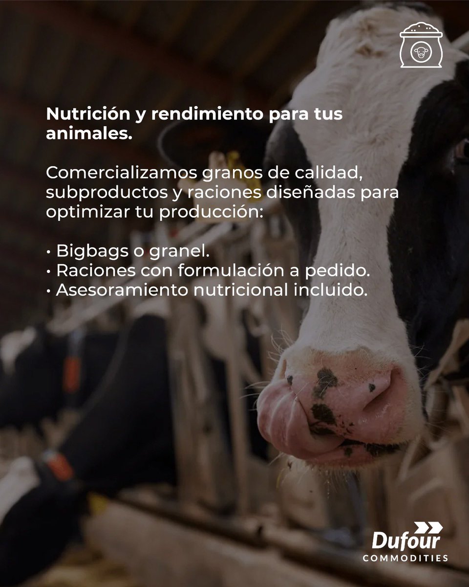 🐄En Dufour Commodities trabajamos con granos de calidad, subproductos y raciones diseñadas para maximizar el bienestar y la performance de tus animales.

📱Contáctanos por más información: 095 393 510

#dufourcommodities