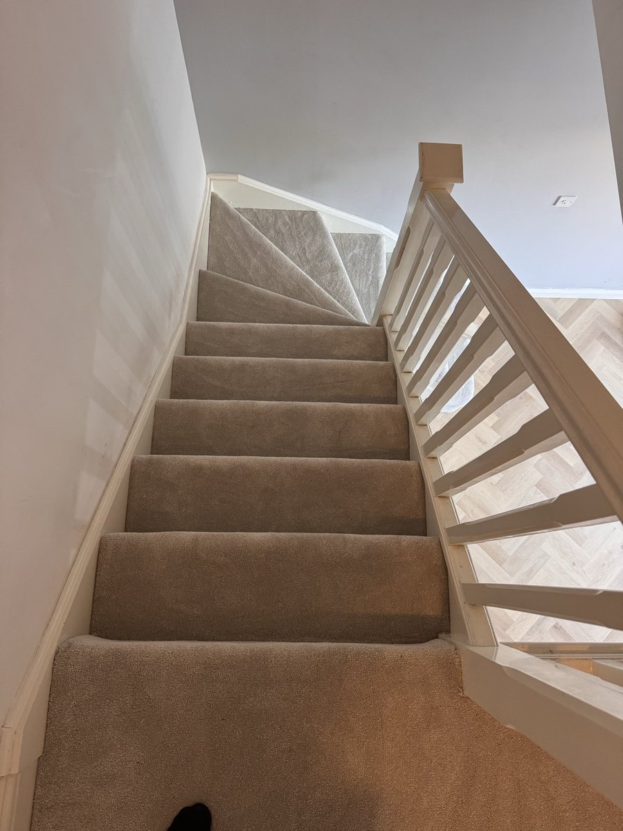 Best Lay Flooring tweet media