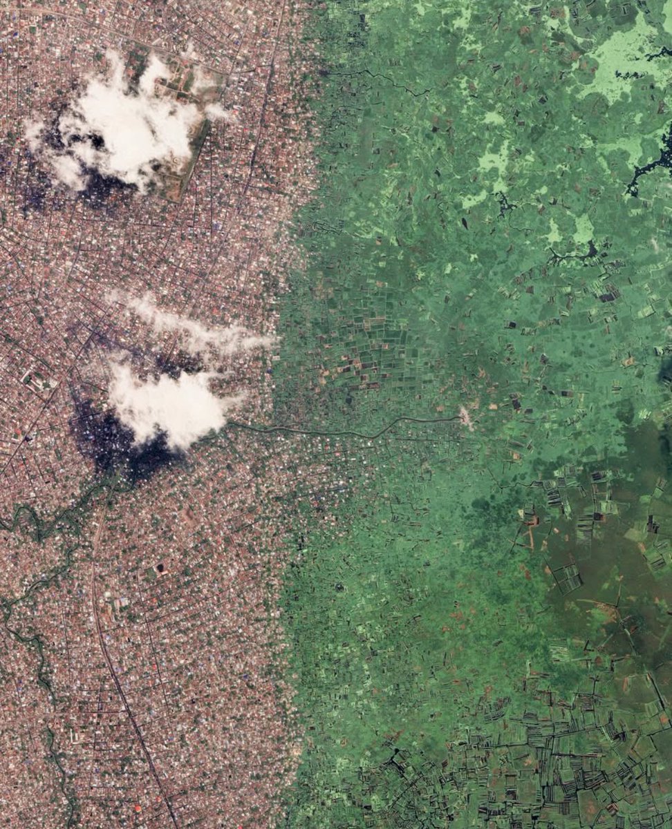 NestorSiurana's tweet image. La vista satelital de Kinshasa es una auténtica locura.

La capital de la RD Congo, una de las ciudades más grandes de África, tiene una población de 18 millones de habitantes, y no para de crecer.

La megaciudad se fusiona con la selva generando estas espectaculares imágenes.…